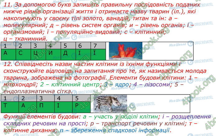 ГДЗ Биология 7 класс страница Стр.24 (11-12)